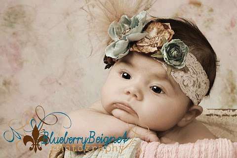 Blueberry Beignet Photography Blueberry Beignet Photography